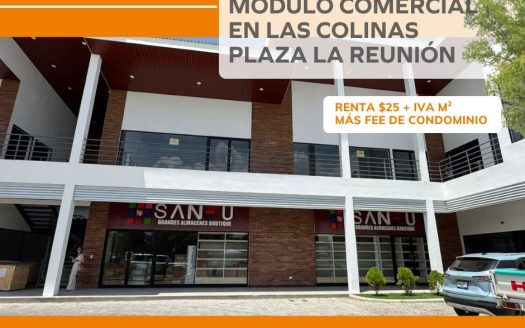 MÓDULA COMERCIAL EN LAS COLINAS PLAZA LA REUNIÓN