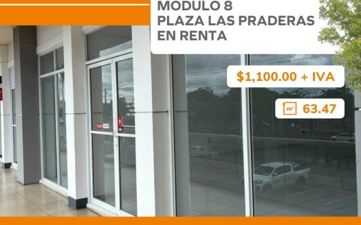 MÓDULO 8 PLAZA LAS PRADERAS EN RENTA