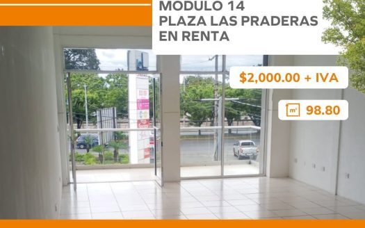 MÓDULO 14 PLAZA LAS PRADERAS EN RENTA
