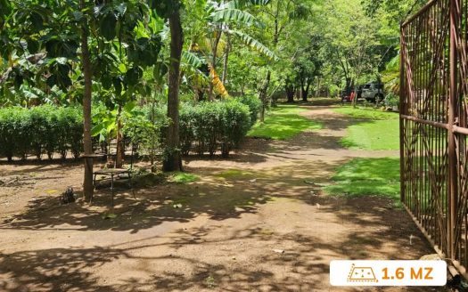 TERRENO EN VENTA EN ZONA EN DESARROLLO EN VERACRUZ
